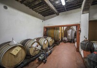 Concadoro (81).jpg