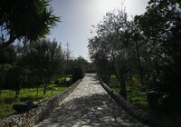415-1778840.jpg
