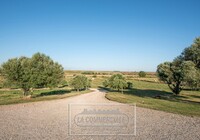 villa-pescia-romana-lacommerciale-1.jpg