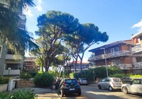 415-2409186.jpg