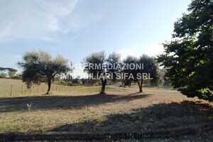 IMG_20231013_163627.jpg