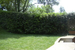 DSCN0587.JPG